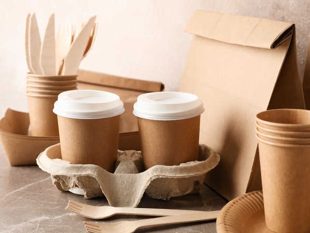 pulp and paper packaging 640x480