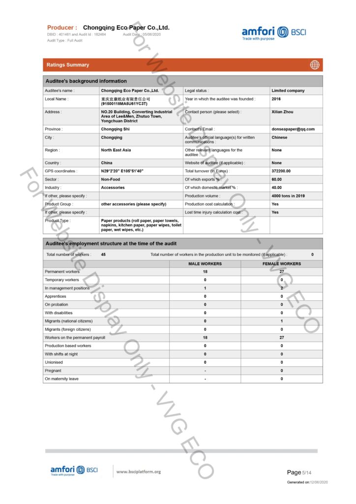 BSCI Summary Audit Report