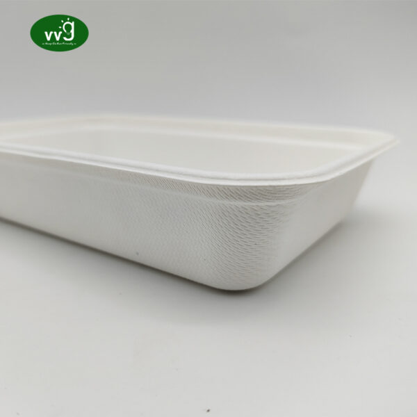 Biodegradable Takeaway Food Container Without Lid
