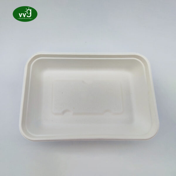Biodegradable Takeaway Food Packing Box