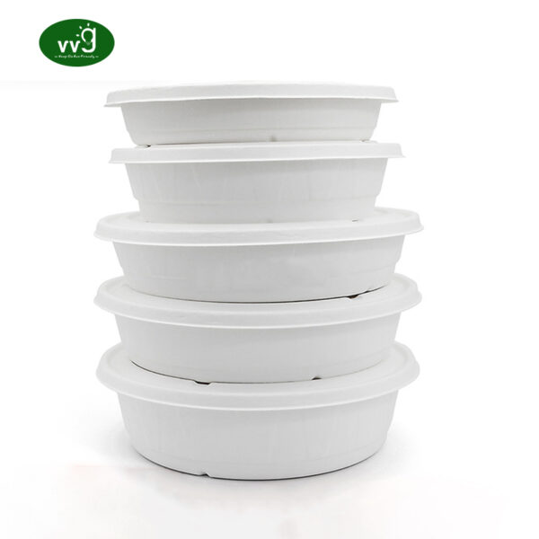 Disposable Bagasse Bowl Takeaway Food Container