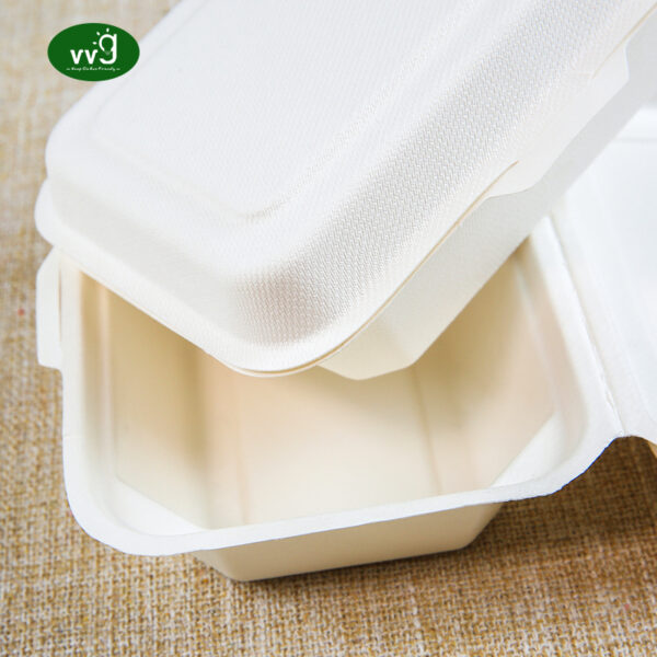 Disposable Sugarcane Bagasse Packaging