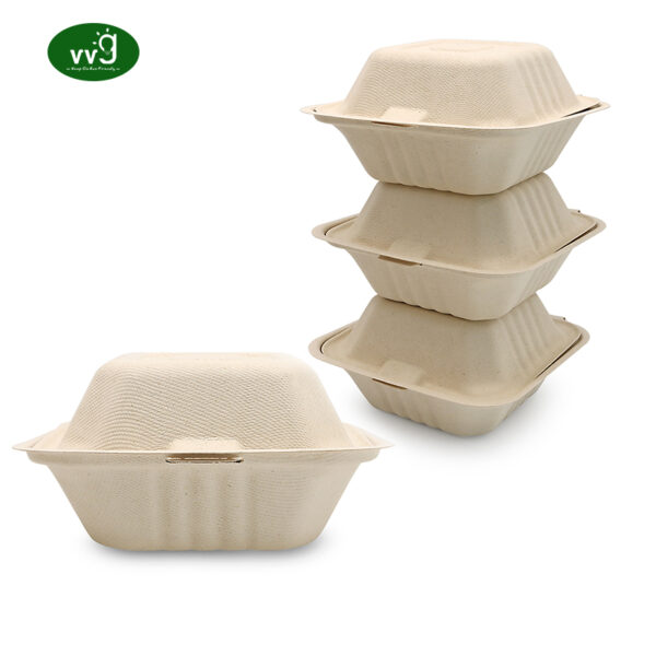 Eco Friendly Bagasse Disposable Takeaway Food Packaging Box