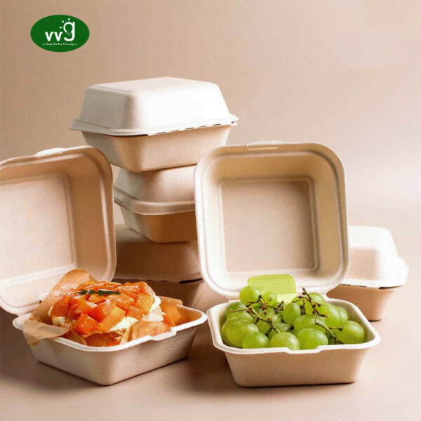 Fast Food Packaging Burger Box