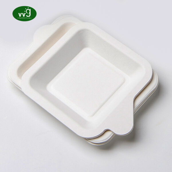 Square Biodegradable Bagasse Food Serving Tray Plates