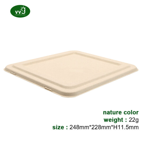 The Lid Of The Biodegradable Sugarcane Pulp Food Container