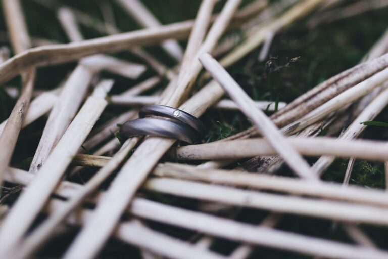 Bamboo 2023100801
