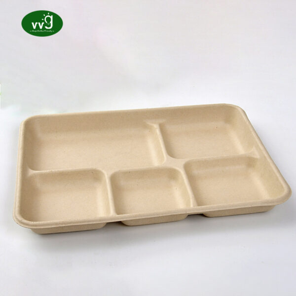 5 Compartment Disposable Plate Tray