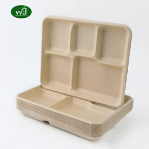 5 Komsplater Disposible Lunch Tray