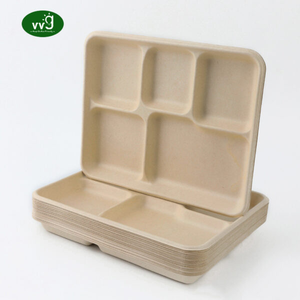 5 Komsplater Disposible Lunch Tray