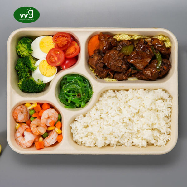 Sugarcane Pulp 5 Compartment Lunch Box