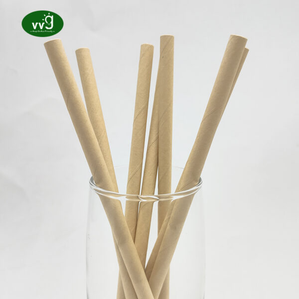 Eco Friendly Disposable Straws For Drink