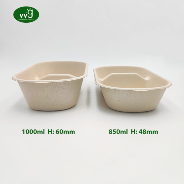 1000ml Bagasse Lunch Box Disposable