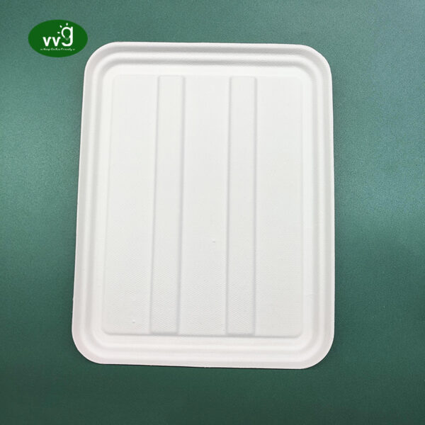 Disposable Rectangle Sugarcane Bagasse Tray Lid