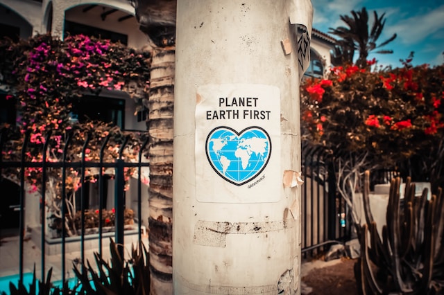 2024 1 10 Planet Earth Firtstblog The Trend Of Eco Friendly Tablewares