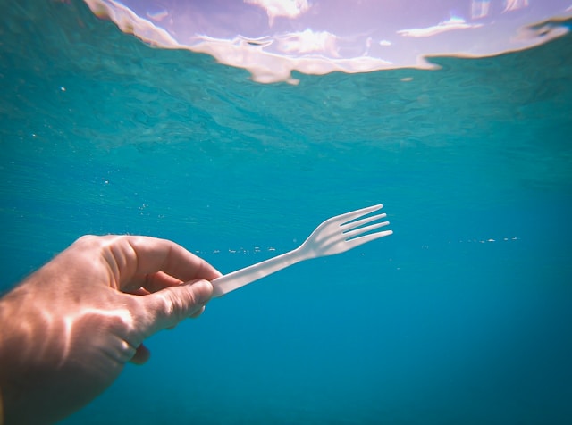 Blogg Hvorfor sukkerrøravfallsgafler er mer miljøvennlige enn plastgafler